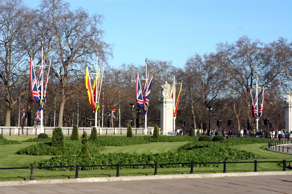 Click to see next picture