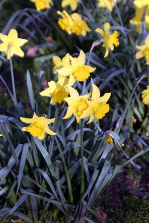 Click to see next picture