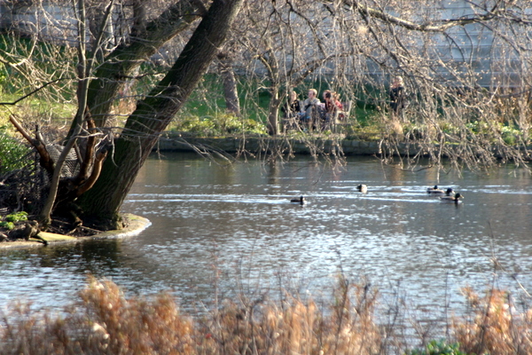 Click to see next picture