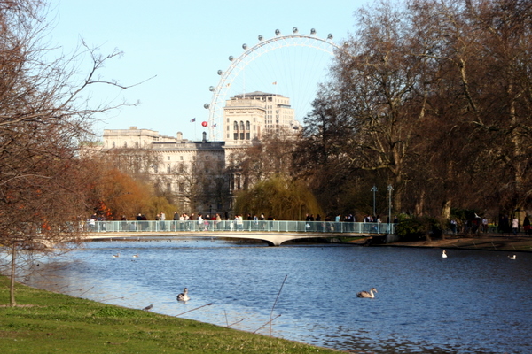 Click to see next picture