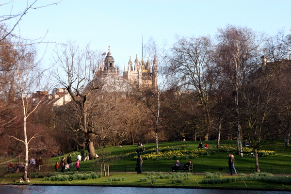 Click to see next picture