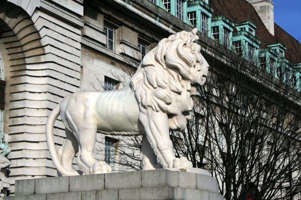 Click to see next picture