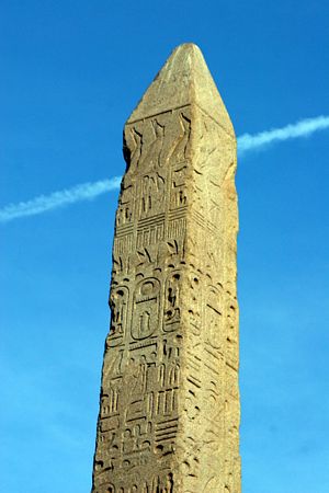 Click to see next picture