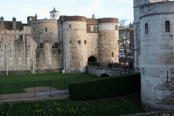 Click to see next picture