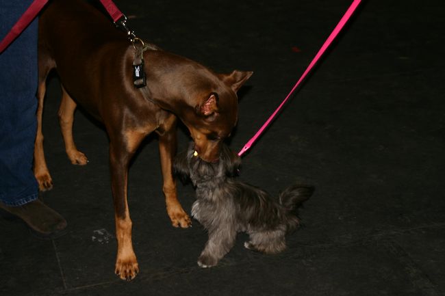 Click to see next picture