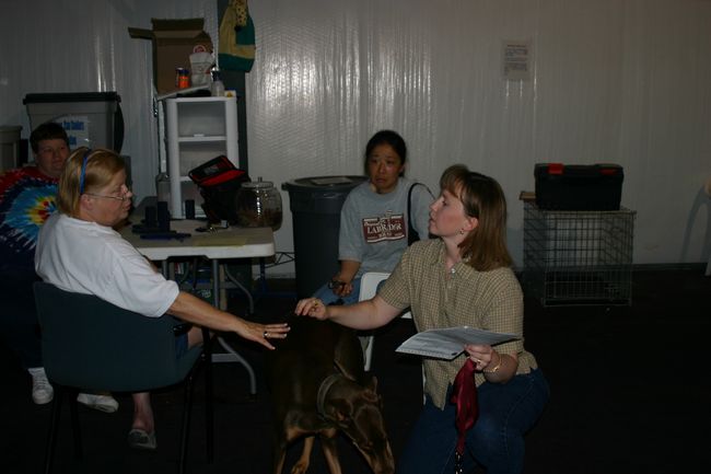 Click to see thumbs page