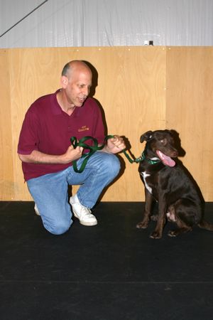 Click to see next picture