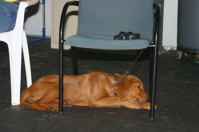 Click to see thumbs page