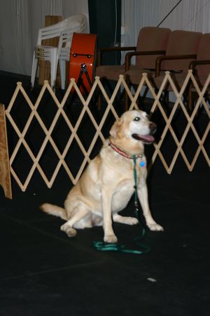 Click to see next picture