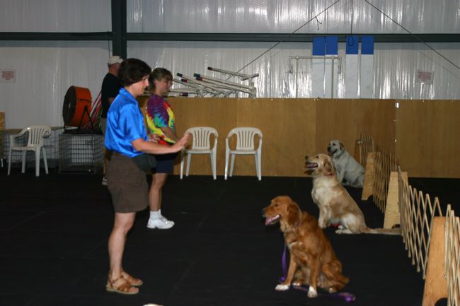 Click to see next picture