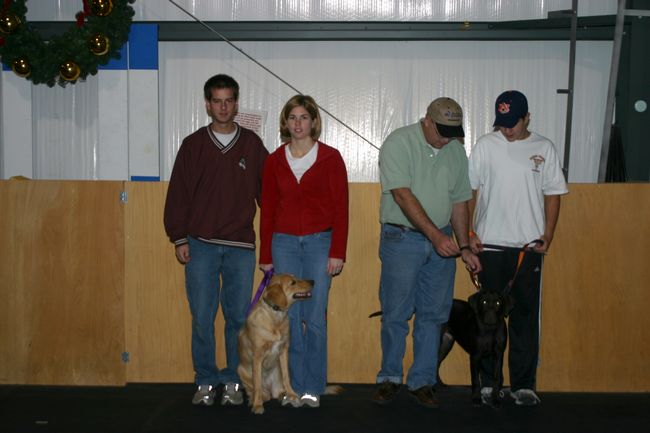 Click to see next picture