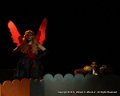 IMG_9377