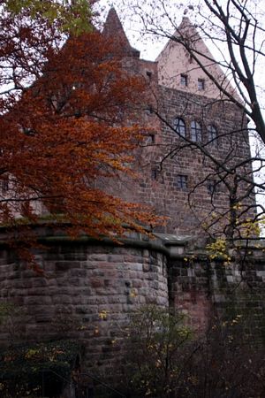 Click to see next picture