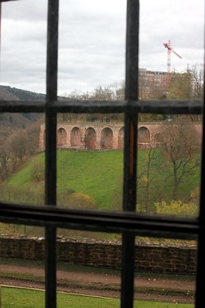 Click to see next picture