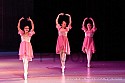 img_8263_thm.jpg