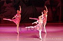 img_5387_thm.jpg