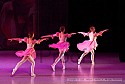 img_8427_thm.jpg