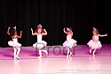 img_8738_thm.jpg