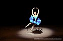 img_6264_thm.jpg