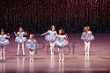 img_9641_thm.jpg