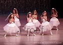 img_0233_thm.jpg