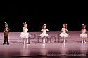 img_8716_thm.jpg