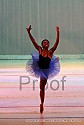 img_6124_thm.jpg