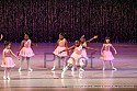 img_8956_thm.jpg