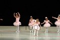 IMG_5377