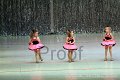 IMG_3984