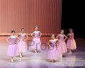 IMG_0202