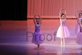IMG_0212