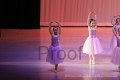 IMG_0213