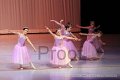 IMG_0239