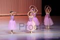 IMG_0241