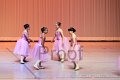 IMG_0248