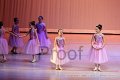 IMG_0252