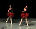 IMG_0265