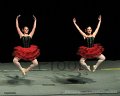 IMG_0278