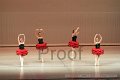 IMG_0442