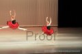 IMG_0458