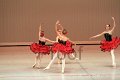 IMG_0463