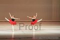 IMG_0629