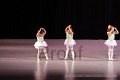 IMG_8154