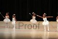 IMG_6739