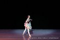IMG_6546