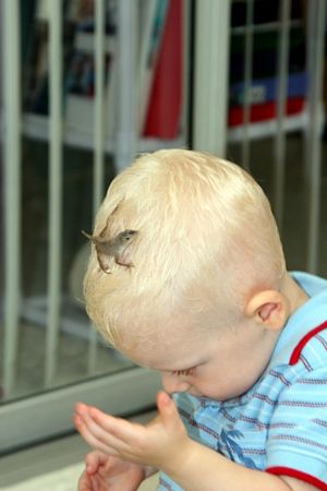 Click to see next picture