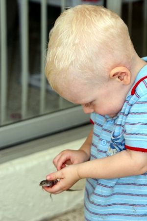 Click to see next picture