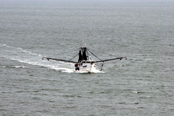 Click to see next picture