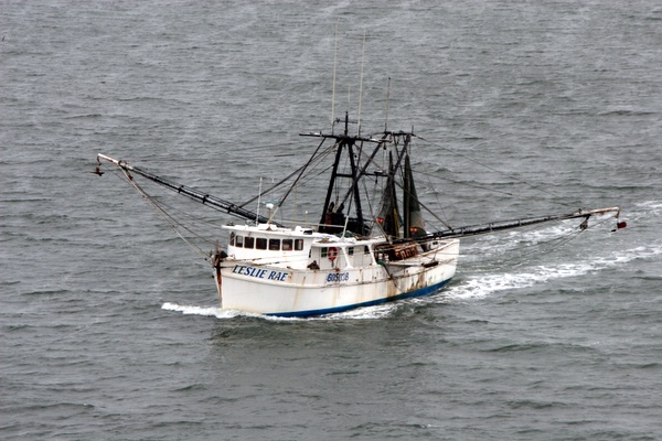 Click to see next picture